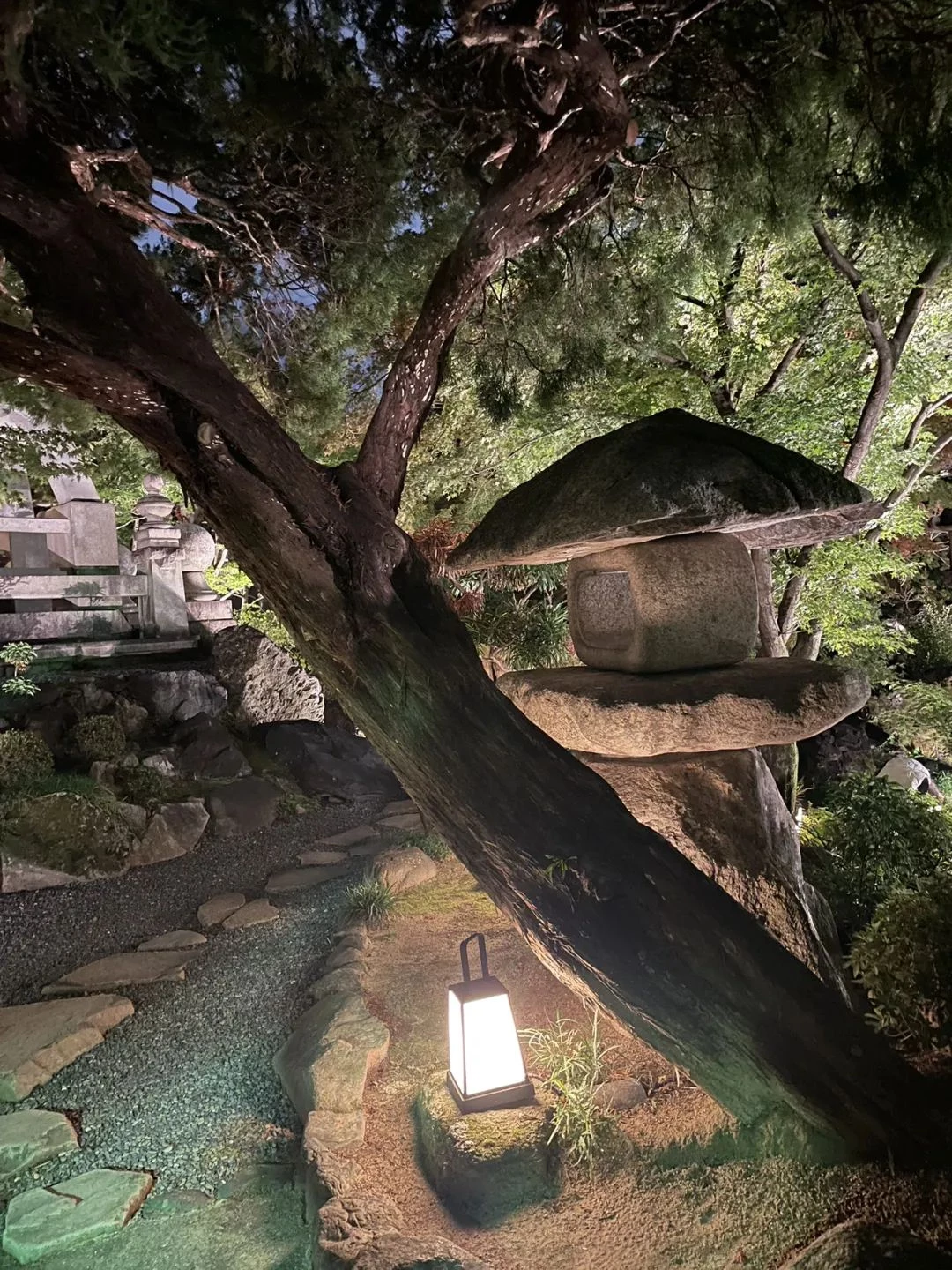 餐馆内景一隅 餐馆内景一隅